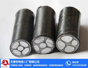天津阻燃电线电缆 品质与安全的保障