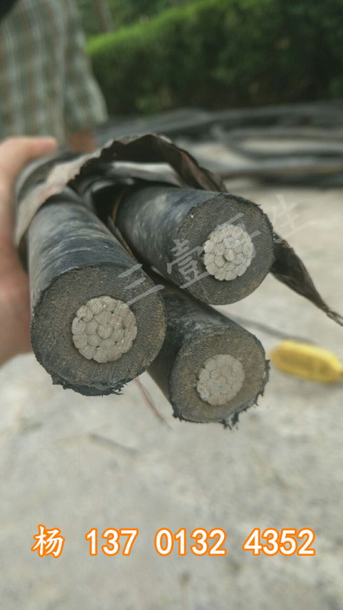 2021年沙洋船用电缆回收 集团在线报价服务全面启动