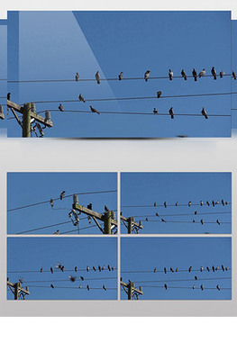 电线杆图片素材与电缆设计模板 VIP素材资源集锦